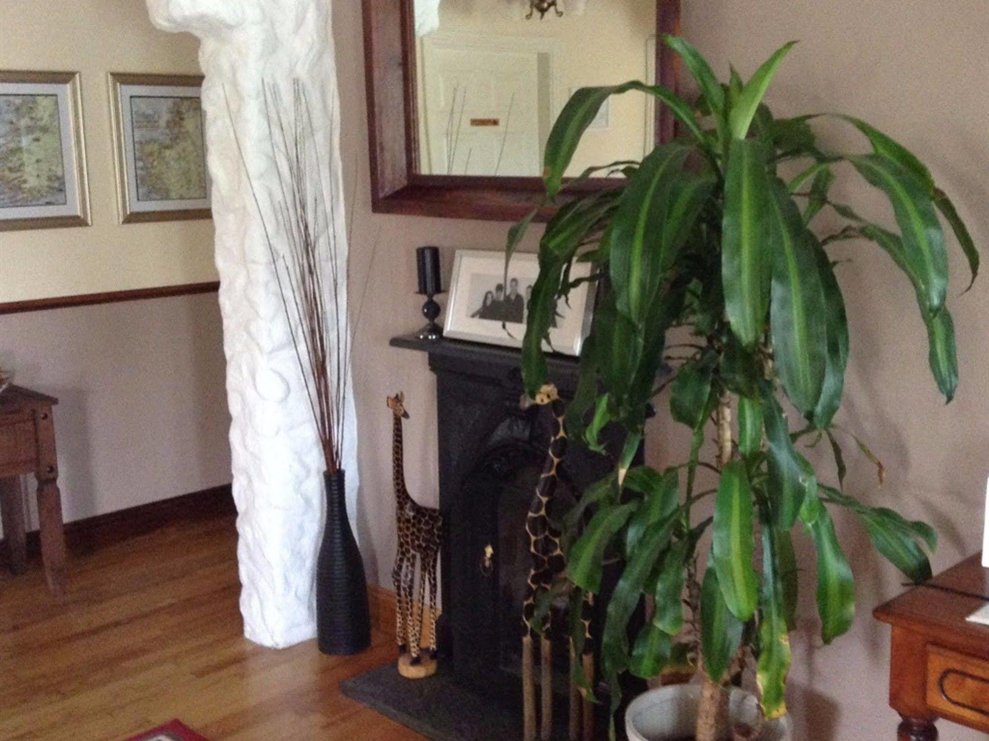 Elements B&B Lisdoonvarna Extérieur photo